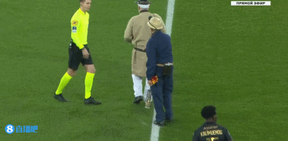 赵鸿刚因耳光大赛引发舆论，鸽武缘退位为信鸽爱好者，玄武挑战引发流量狂欢，传统武术遭网络戏谑与质疑。